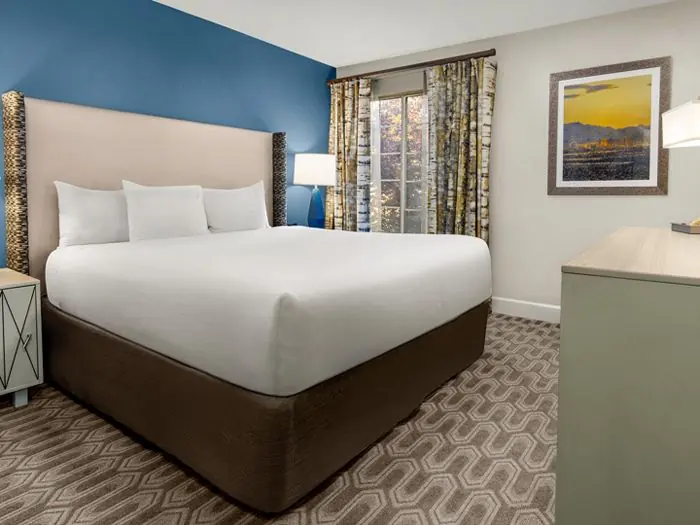 Bedroom with a bed and a blue accent wall.